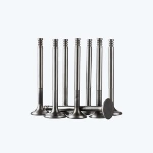Intake valves
